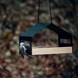 image-Outdoor Gardening Garden Decoration Hanging Bird Feeder
