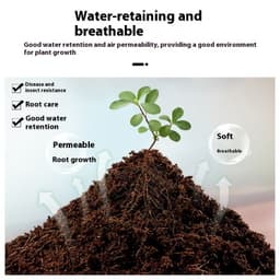 image-Nutrient Soil Medium Vegetable Planting And Seedling Block