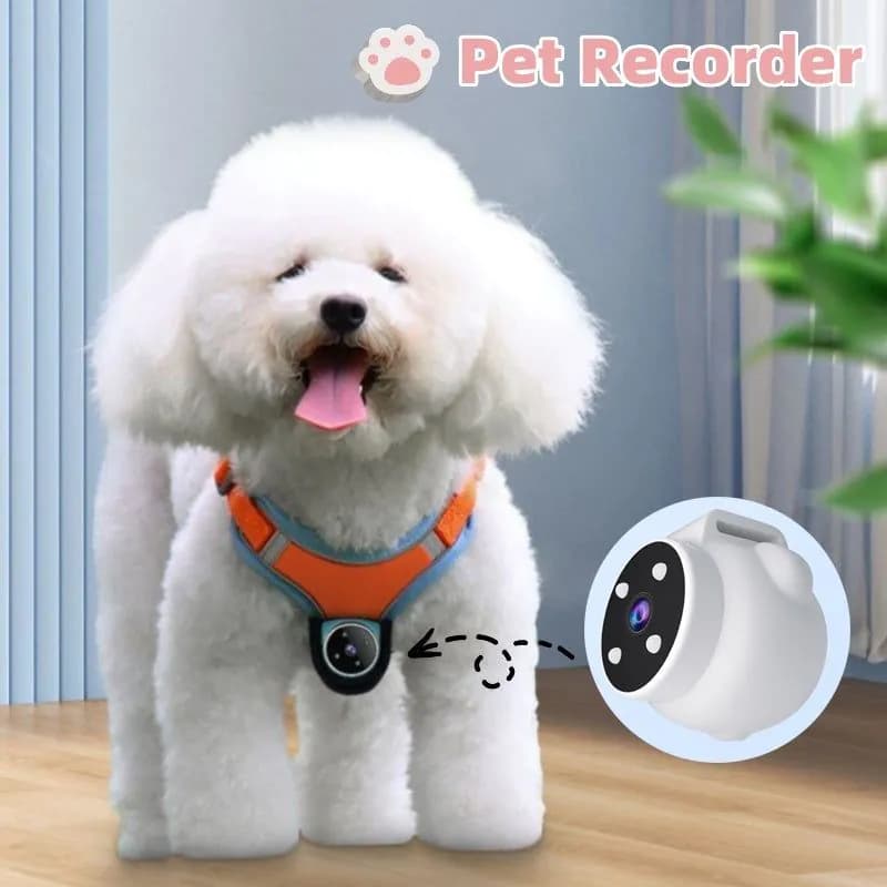 image-Pets Recorder Pet Tracker Collar Dogs And Cats Viewing Angle Motion Recording Camera Action Camera With Video Records Cat Collars Camera Sport Pet Products