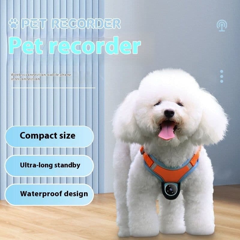 image-Pets Recorder Pet Tracker Collar Dogs And Cats Viewing Angle Motion Recording Camera Action Camera With Video Records Cat Collars Camera Sport Pet Products
