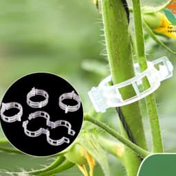 image-Plant Clipsseedling Hanging Clipplastic Tie Tendril Clipbranch Binding Clipclip For Hanging VineVine ClampVine Fixed Clip