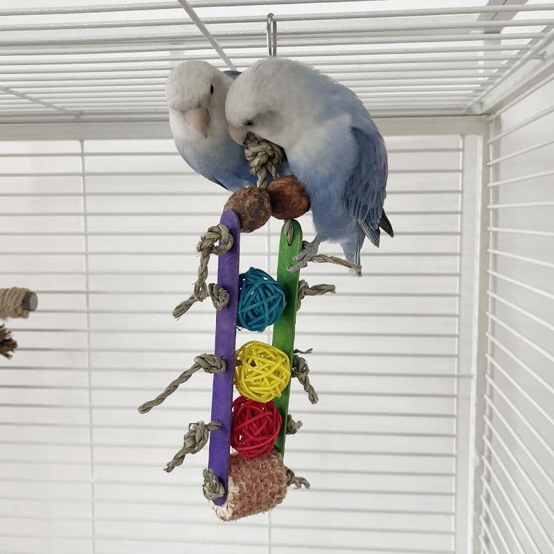 image-Creative Parrot Corn Cob Bite String Wooden Bite Toy