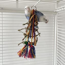 image-Creative Parrot Corn Cob Bite String Wooden Bite Toy