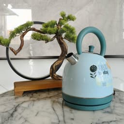 image-Painted Paint Vintage Electric Kettle Electric Tea Burning Stainless Steel Home Appliance