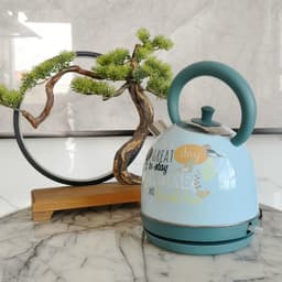 image-Painted Paint Vintage Electric Kettle Electric Tea Burning Stainless Steel Home Appliance