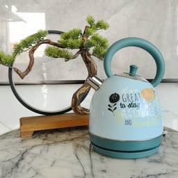image-Painted Paint Vintage Electric Kettle Electric Tea Burning Stainless Steel Home Appliance
