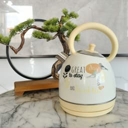 image-Painted Paint Vintage Electric Kettle Electric Tea Burning Stainless Steel Home Appliance