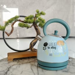 image-Painted Paint Vintage Electric Kettle Electric Tea Burning Stainless Steel Home Appliance