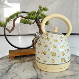 image-Painted Paint Vintage Electric Kettle Electric Tea Burning Stainless Steel Home Appliance