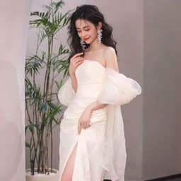 image-Tube Top Light Wedding Dress Bride Simple Long