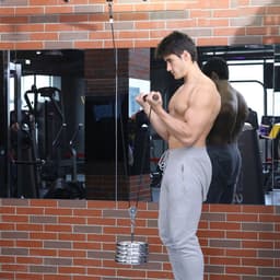 image-Fitness Arm Muscle Blaster Trainer Biceps Triceps Pull Rope Wrist Roller Forearm Home Workout Hand Gripper Strength Trainning