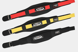 image-Fitness weightlifting waistband