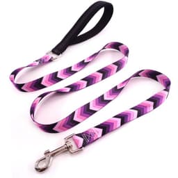 image-Flower training dog pet supplies printed dog leash