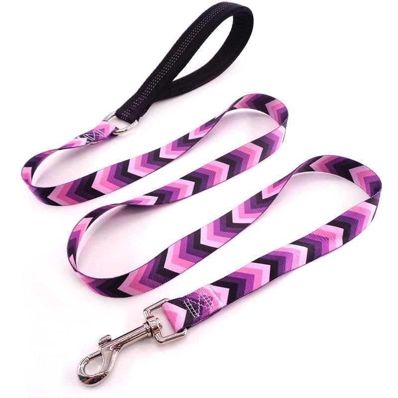 image-Flower training dog pet supplies printed dog leash