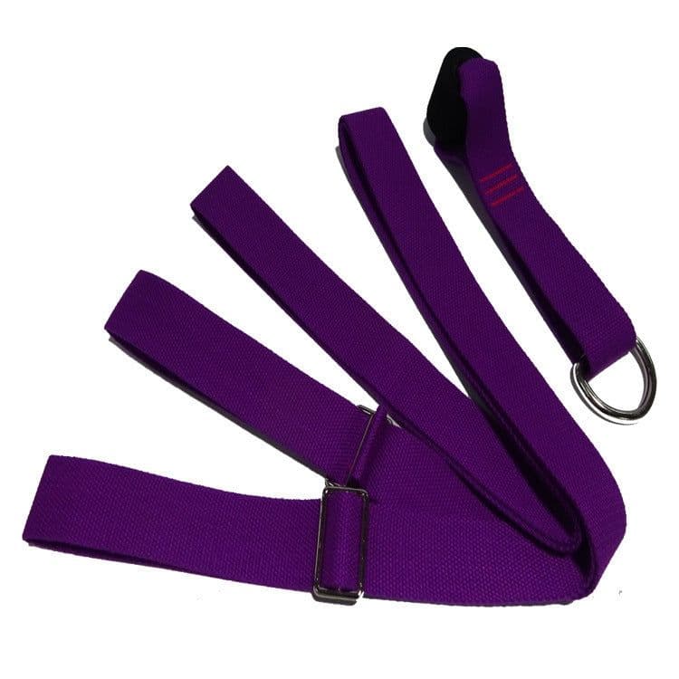 image-Adjust Resistance Band Hanging On The Door Easy Install Flexibility Training Strap Yoga Ballet