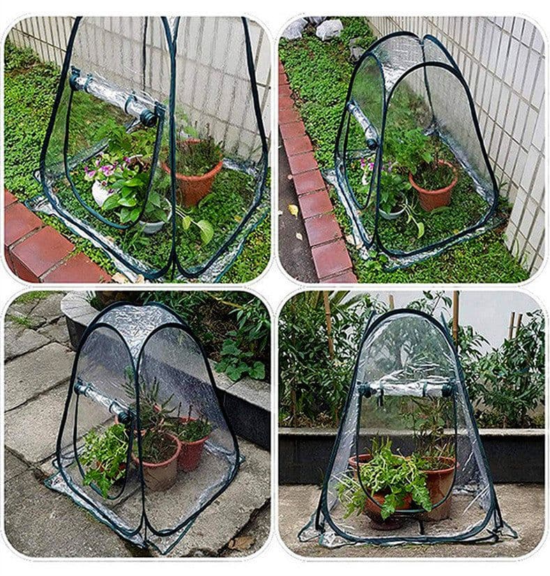 image-Outdoor Garden Plants And Flowers Antifreeze Greenhouse
