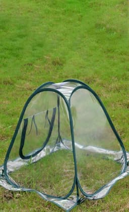 image-Outdoor Garden Plants And Flowers Antifreeze Greenhouse