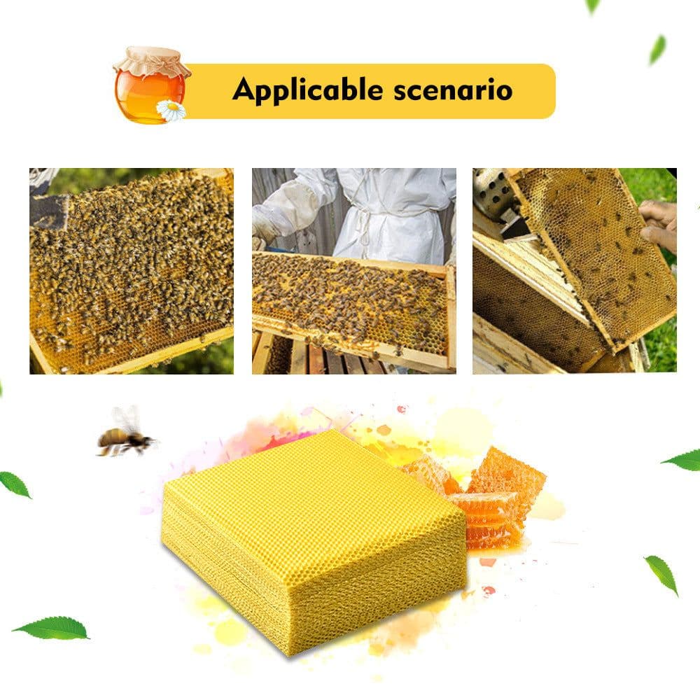 image-Cross-Border Foreign Trade Of Beeswax Tablets For Bees