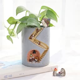 image-Gardening Cartoon Succulent Flower Pot