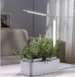 image-Clean And Beautiful Soilless Culture Hydroponic Self-Absorbent Herb Vegetable Planting Box Trough Cute Flower Pot Set