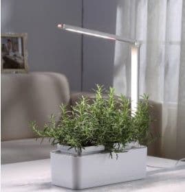 image-Clean And Beautiful Soilless Culture Hydroponic Self-Absorbent Herb Vegetable Planting Box Trough Cute Flower Pot Set