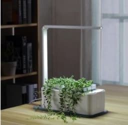 image-Clean And Beautiful Soilless Culture Hydroponic Self-Absorbent Herb Vegetable Planting Box Trough Cute Flower Pot Set