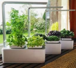 image-Clean And Beautiful Soilless Culture Hydroponic Self-Absorbent Herb Vegetable Planting Box Trough Cute Flower Pot Set