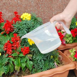 image-Gardening Tools Succulent Gardening Supplies Set Combination Planting Flowers Green Plants Succulents Tools