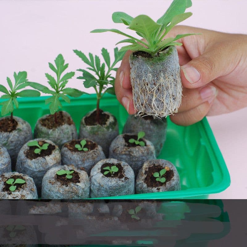 image-Gardening Tools Succulent Gardening Supplies Set Combination Planting Flowers Green Plants Succulents Tools