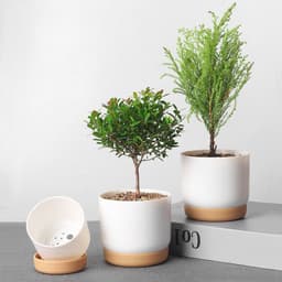 image-Round Double-Layer Succulent Green Dill Small Green Plant Flowerpot