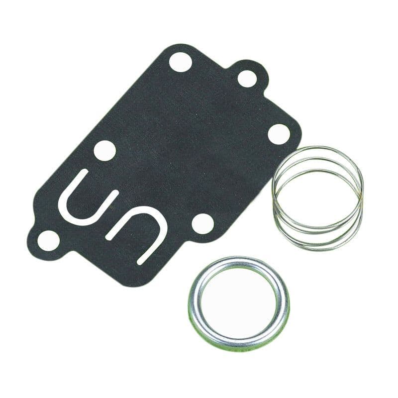 image-Briggs Stratton 270026 272538 272538S 272637 Carburetor Diaphragm Briggs