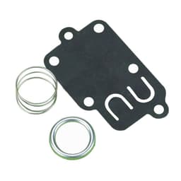 image-Briggs Stratton 270026 272538 272538S 272637 Carburetor Diaphragm Briggs