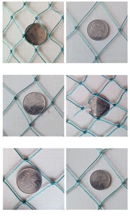 image-100m Poultry Chicken Netting Fence Chicken Netting Netting