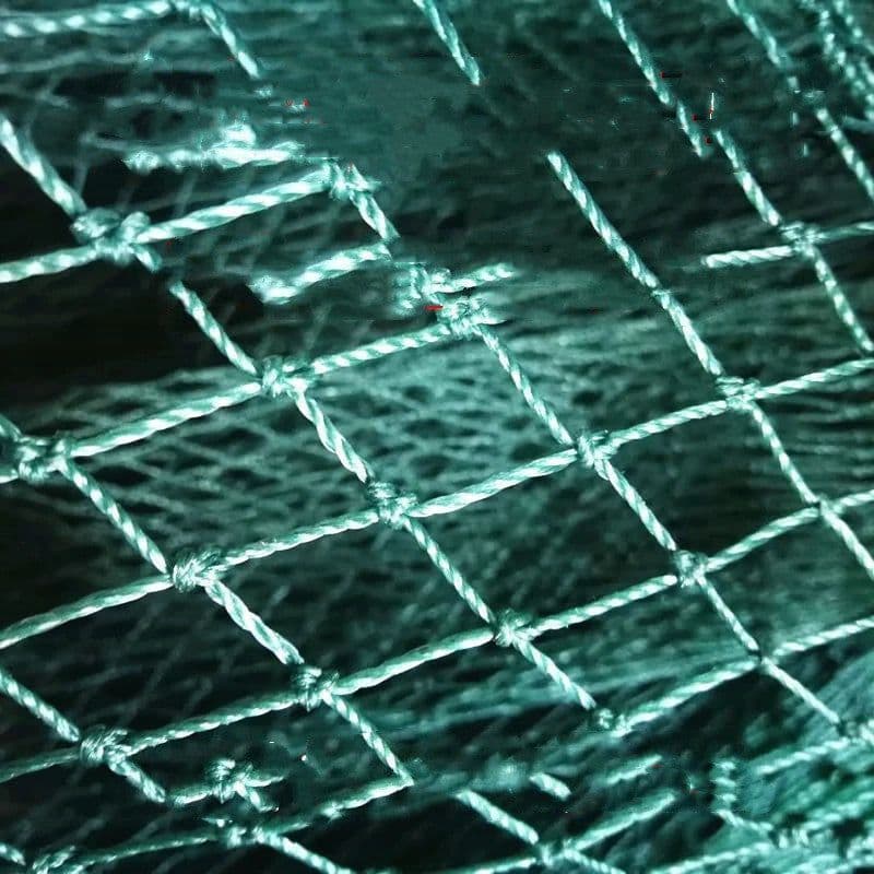 image-100m Poultry Chicken Netting Fence Chicken Netting Netting