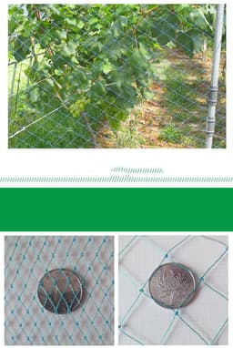 image-100m Poultry Chicken Netting Fence Chicken Netting Netting