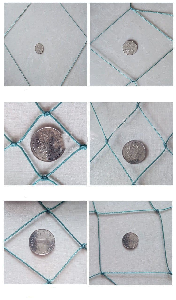 image-100m Poultry Chicken Netting Fence Chicken Netting Netting