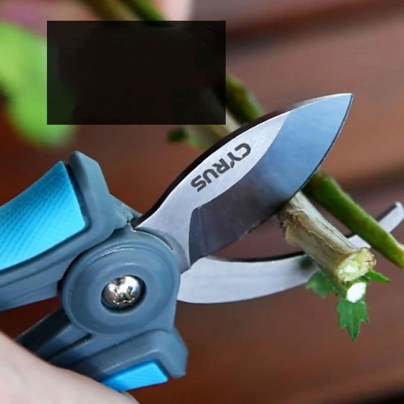 image-Household Bonsai Gardening Flower Arrangement Multifunctional Scissors