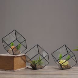 image-Oblique Square Small Glass Greenhouse Transparent Plant Flowerpot