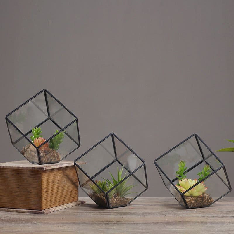 image-Oblique Square Small Glass Greenhouse Transparent Plant Flowerpot