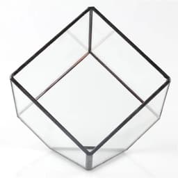image-Oblique Square Small Glass Greenhouse Transparent Plant Flowerpot
