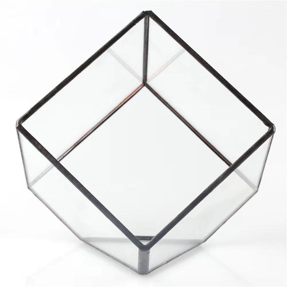 image-Oblique Square Small Glass Greenhouse Transparent Plant Flowerpot