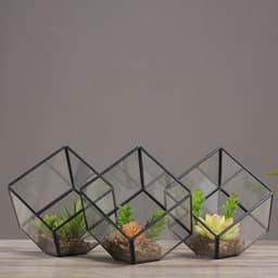 image-Oblique Square Small Glass Greenhouse Transparent Plant Flowerpot