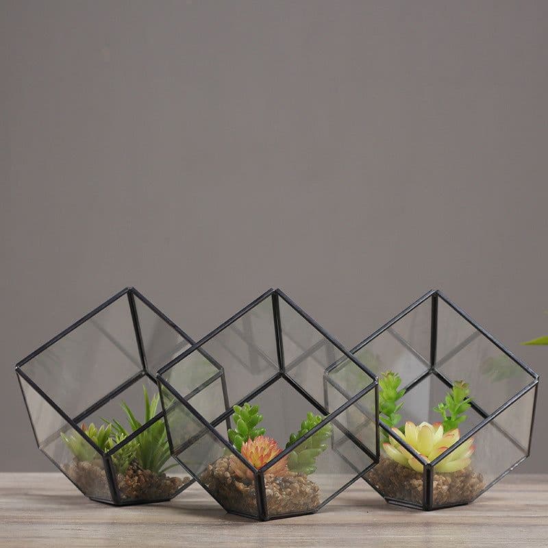 image-Oblique Square Small Glass Greenhouse Transparent Plant Flowerpot