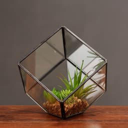 image-Oblique Square Small Glass Greenhouse Transparent Plant Flowerpot