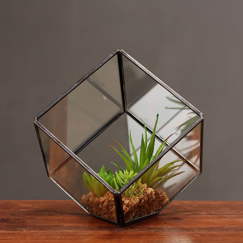 image-Oblique Square Small Glass Greenhouse Transparent Plant Flowerpot