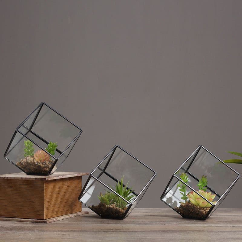 image-Oblique Square Small Glass Greenhouse Transparent Plant Flowerpot