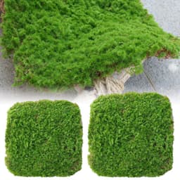 image-Moss Skin Piece Moss Flocking Ornament Soft Decoration Landscaping Rockery Turf Grass