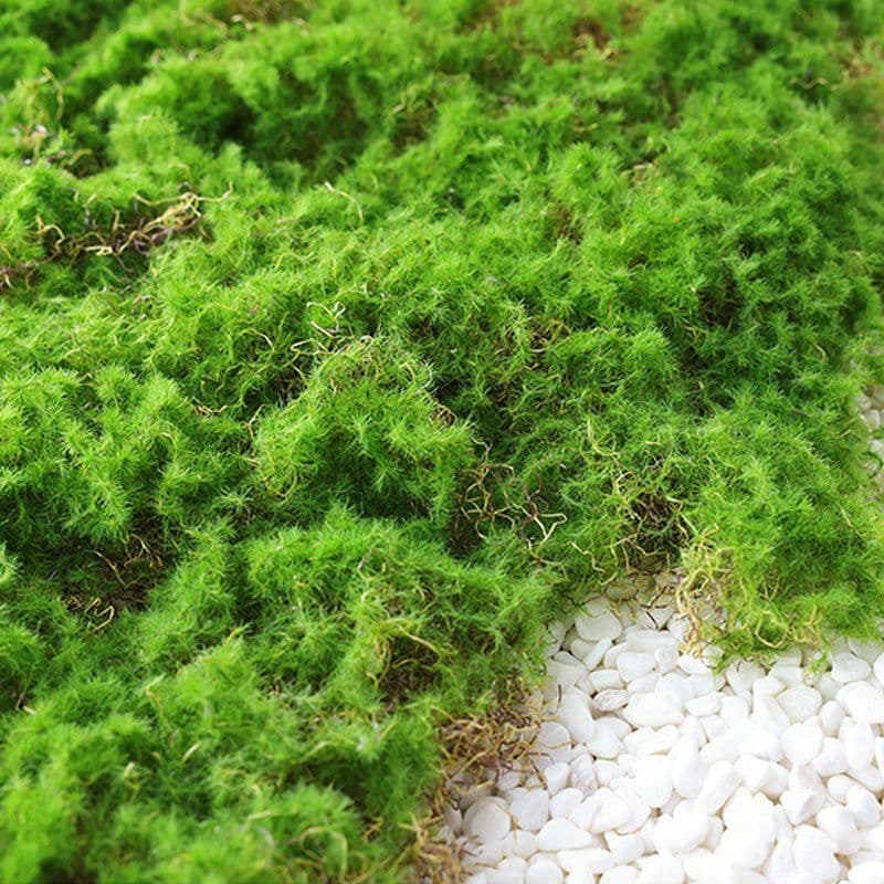 image-Moss Skin Piece Moss Flocking Ornament Soft Decoration Landscaping Rockery Turf Grass
