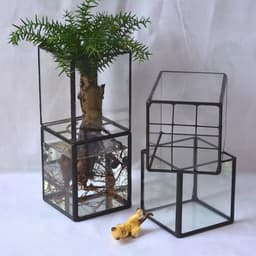 image-Vintage Glass Succulent Flower Pot Furnishings
