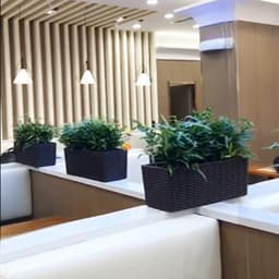 image-Balcony Rattan Long Flower Pot Automatic Water Feeding Lazy Flower Pot Large Planting Basin